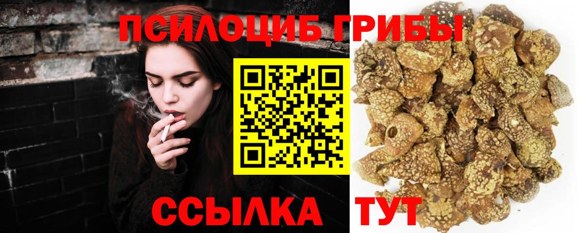 купить   Вход с VPN  Братск  Псилоцибиновые грибы Magic Shrooms 
